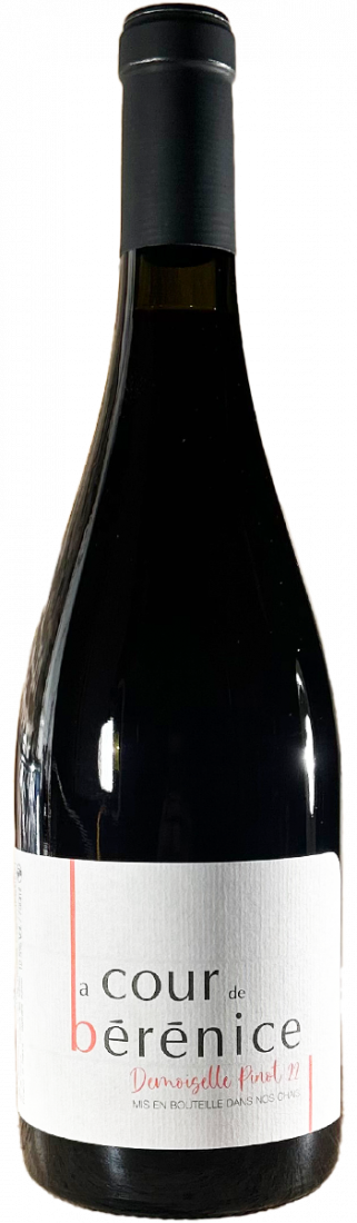 Demoiselle Pinot "La cour de Bérénice"